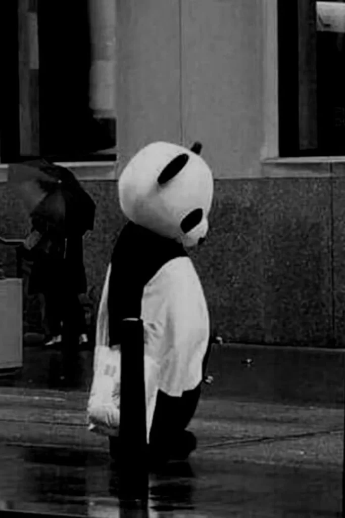 alone dp boy